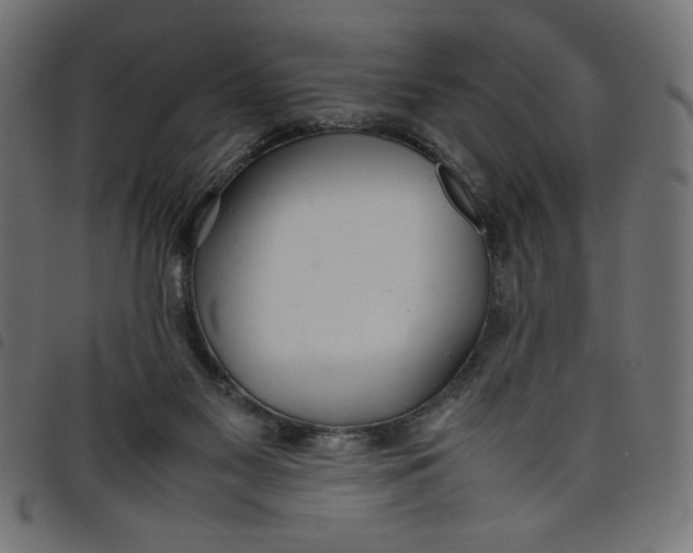 X0000098100117200804251414