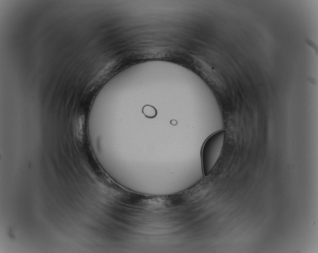 X0000098100118200804251414