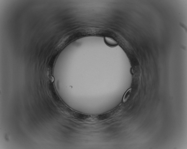 X0000098100119200804251414