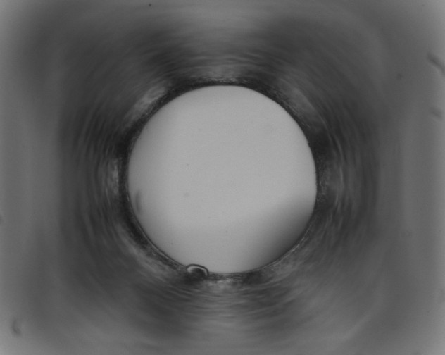 X0000098100120200804251414