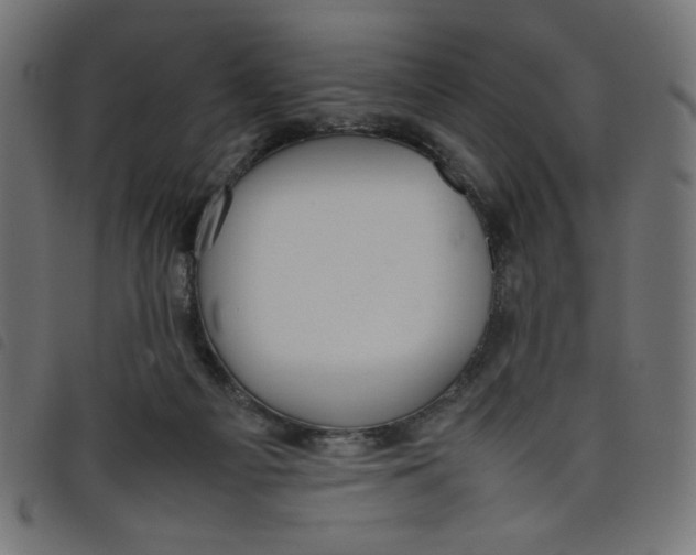 X0000098100121200804251414