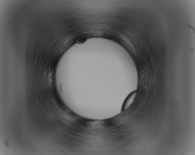 X0000098100122200804251414