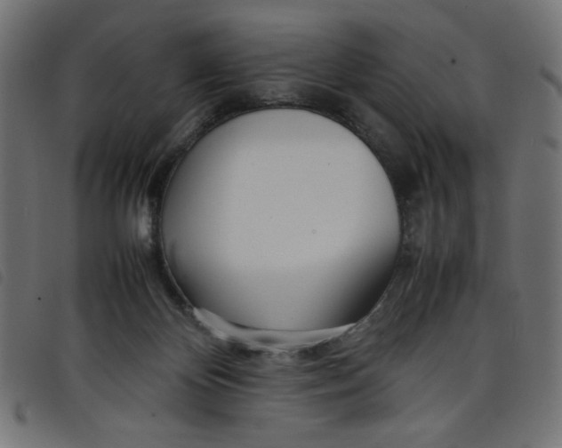 X0000098100124200804251413