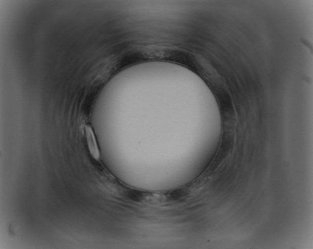 X0000098100125200804251413