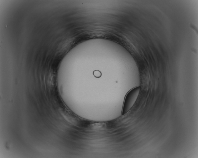 X0000098100126200804251413