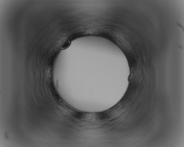 X0000098100127200804251413
