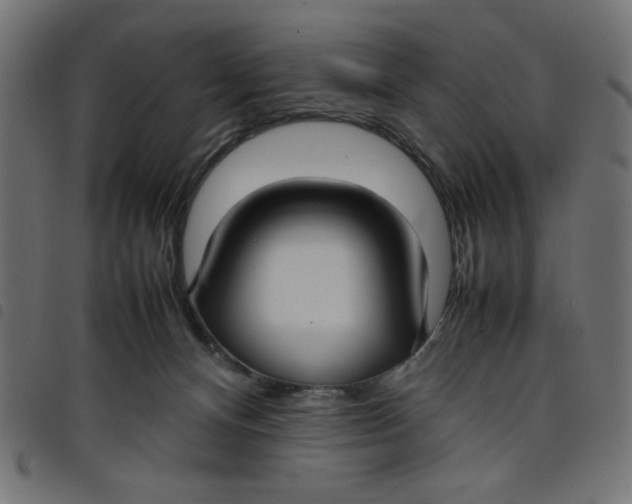 X0000098100128200804251413
