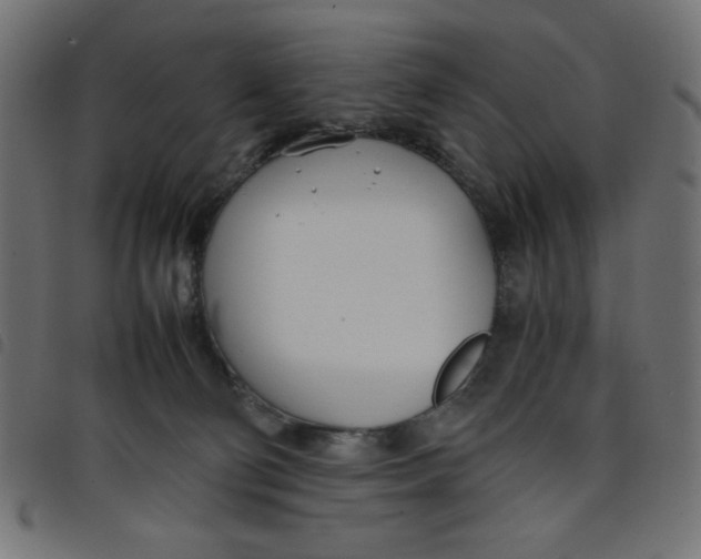 X0000098100130200804251413