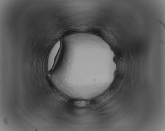 X0000098100131200804251413