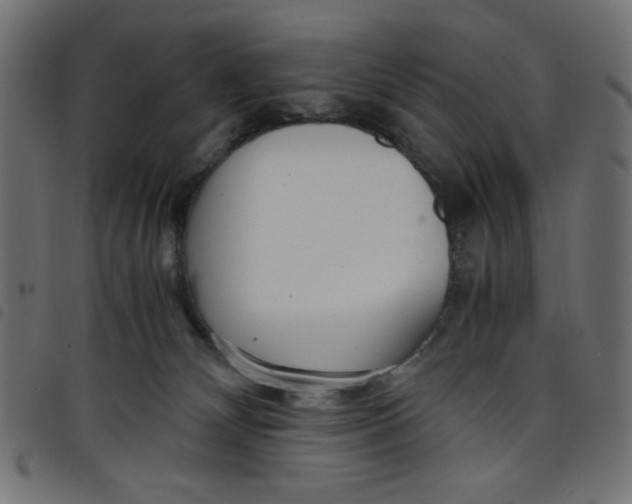 X0000098100132200804251413