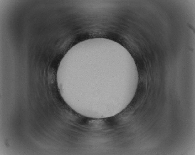 X0000098100133200804251413