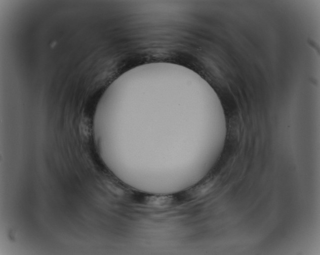 X0000098100135200804251413
