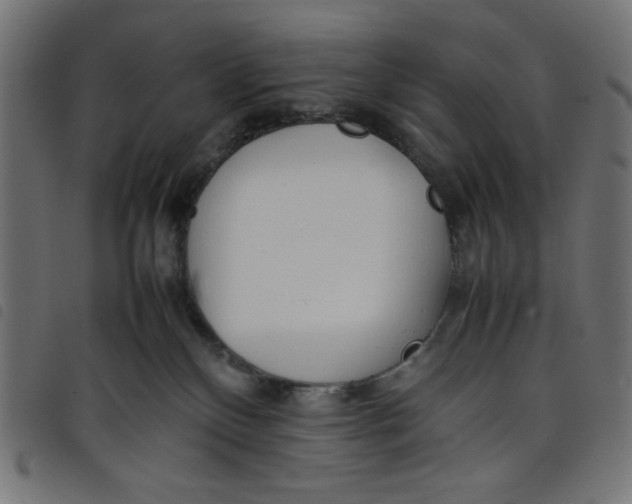 X0000098100136200804251413