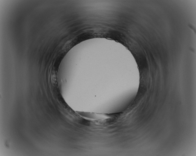 X0000098100137200804251413