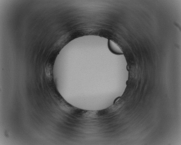 X0000098100138200804251413