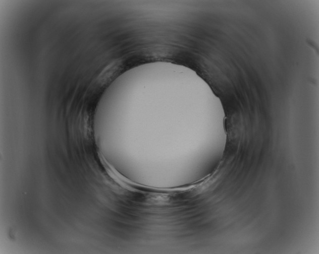 X0000098100140200804251413