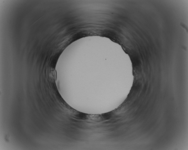X0000098100141200804251413
