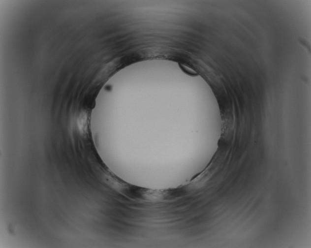 X0000098100142200804251413