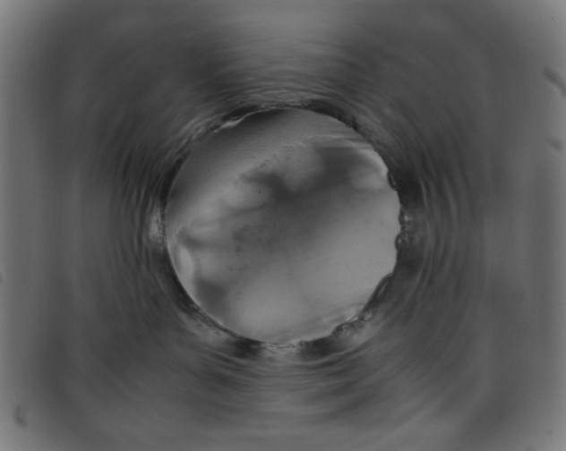 X0000098100143200804251413