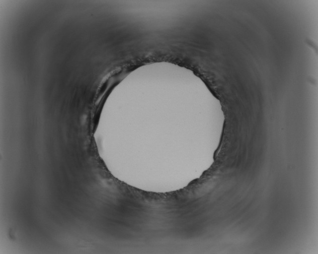 X0000098100144200804251413