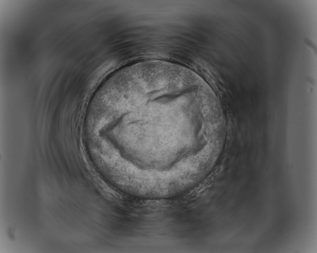 X0000098100145200804251412