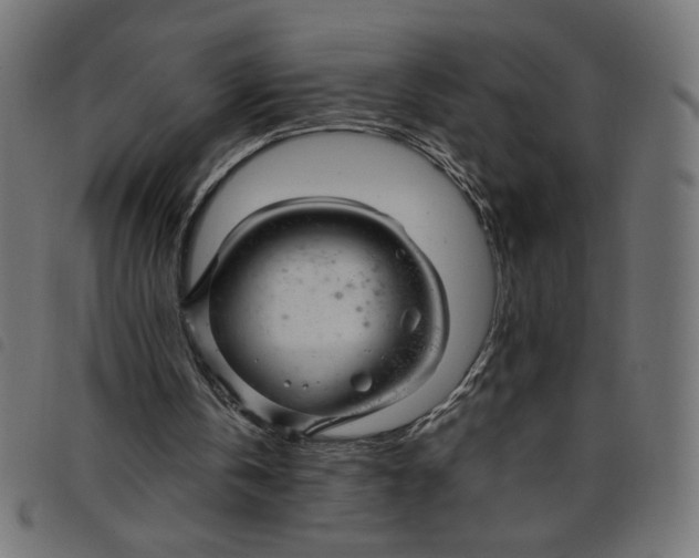 X0000098100146200804251413