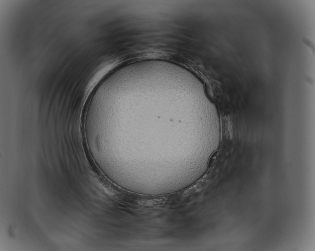 X0000098100147200804251413