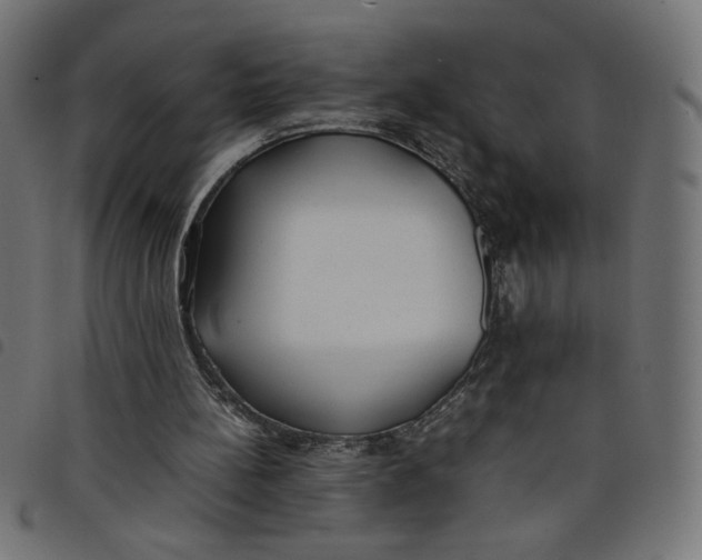 X0000098100148200804251413