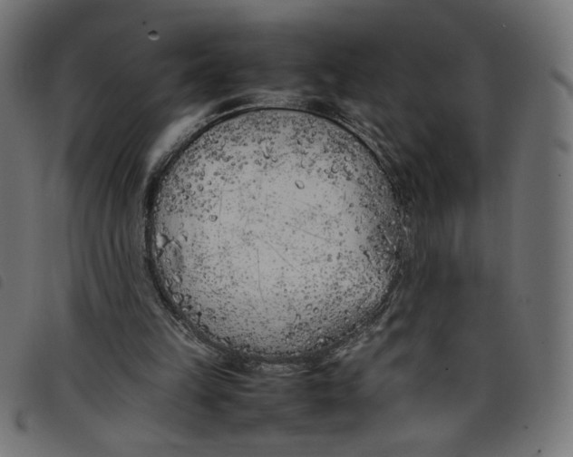 X0000098100149200804251413