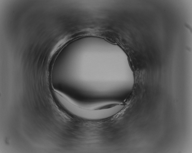 X0000098100150200804251413