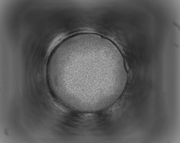 X0000098100151200804251413