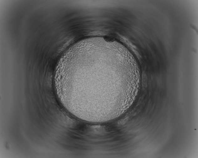 X0000098100153200804251413