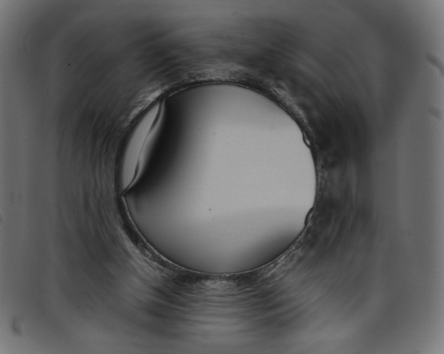 X0000098100154200804251413