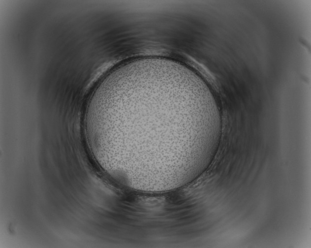X0000098100155200804251413