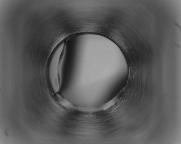 X0000098100156200804251413