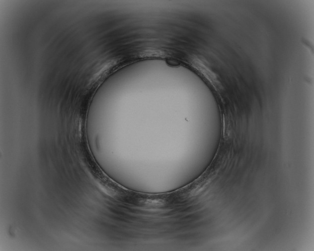 X0000098100157200804251413