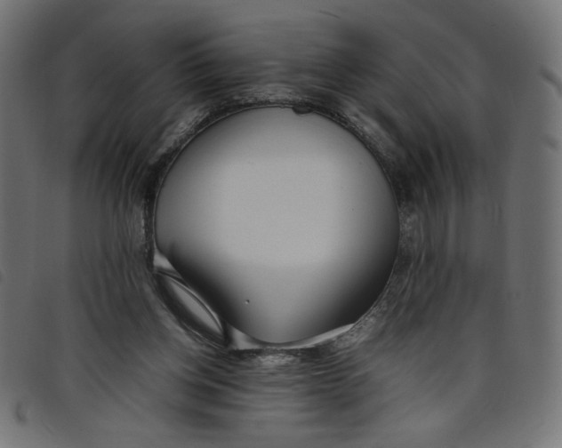 X0000098100158200804251413