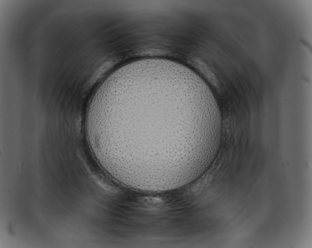 X0000098100159200804251413