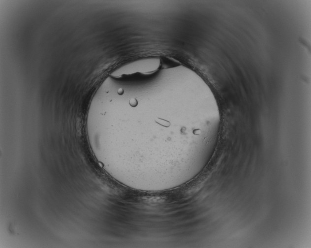 X0000098100161200804251413