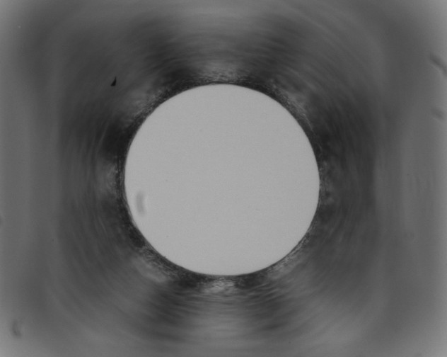 X0000098100162200804251413