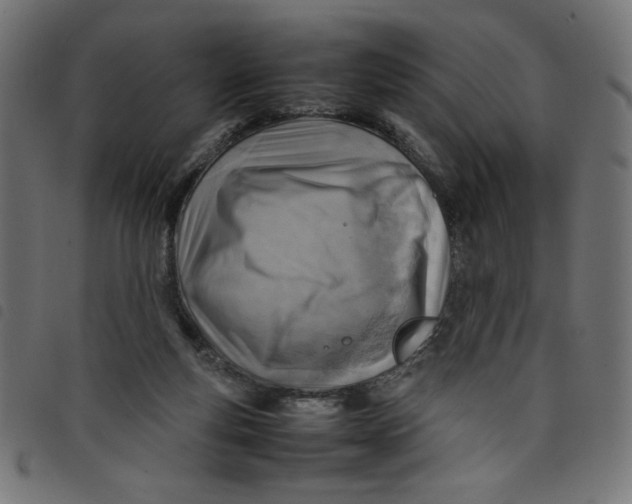 X0000098100163200804251413