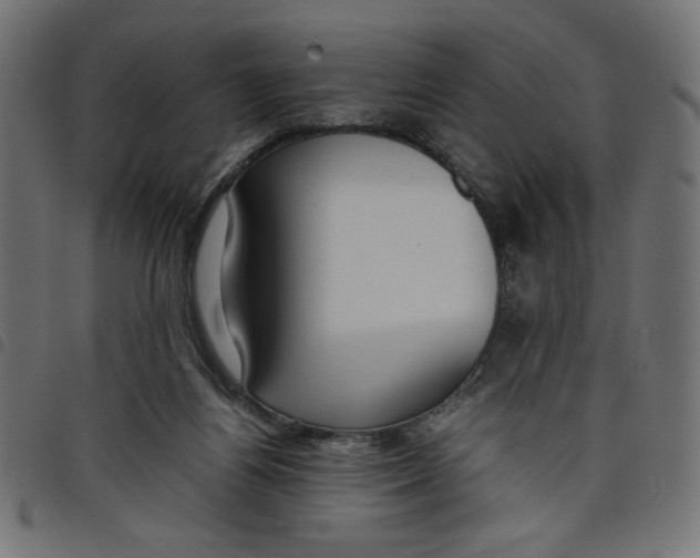 X0000098100164200804251413