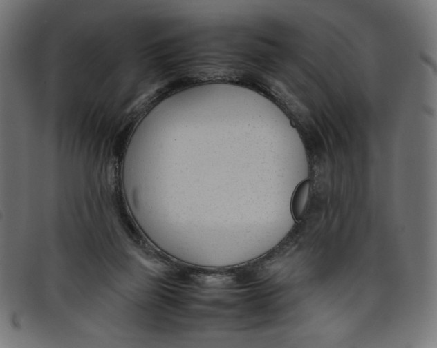 X0000098100165200804251413