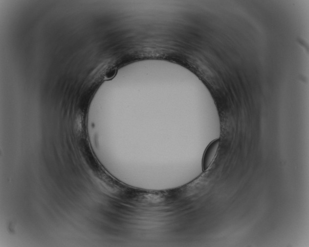 X0000098100166200804251413