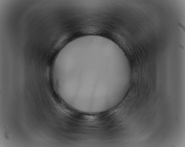 X0000098100167200804251413