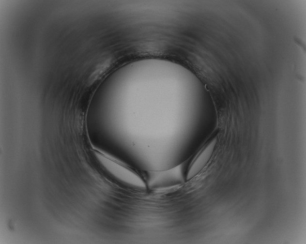 X0000098100168200804251413