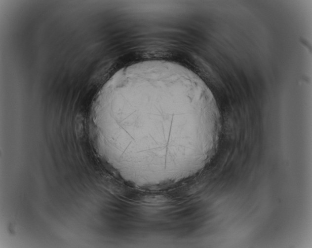 X0000098100169200804251413