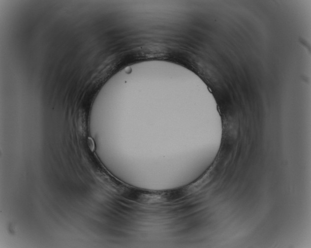 X0000098100170200804251413