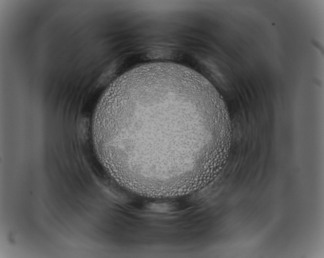X0000098100171200804251413