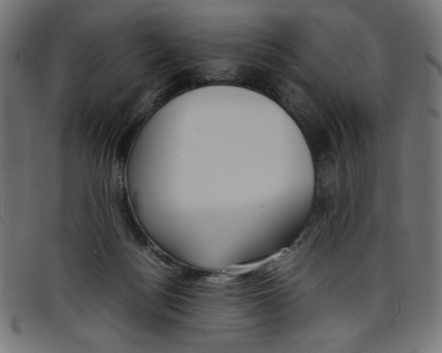 X0000098100172200804251413